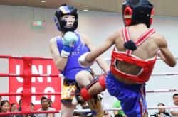 开云体育平台APP-包含热血沸腾！擂台上的搏击风云再掀新高潮的词条