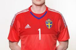 开云APP-加拿大队遗憾出局，瑞典晋级八强