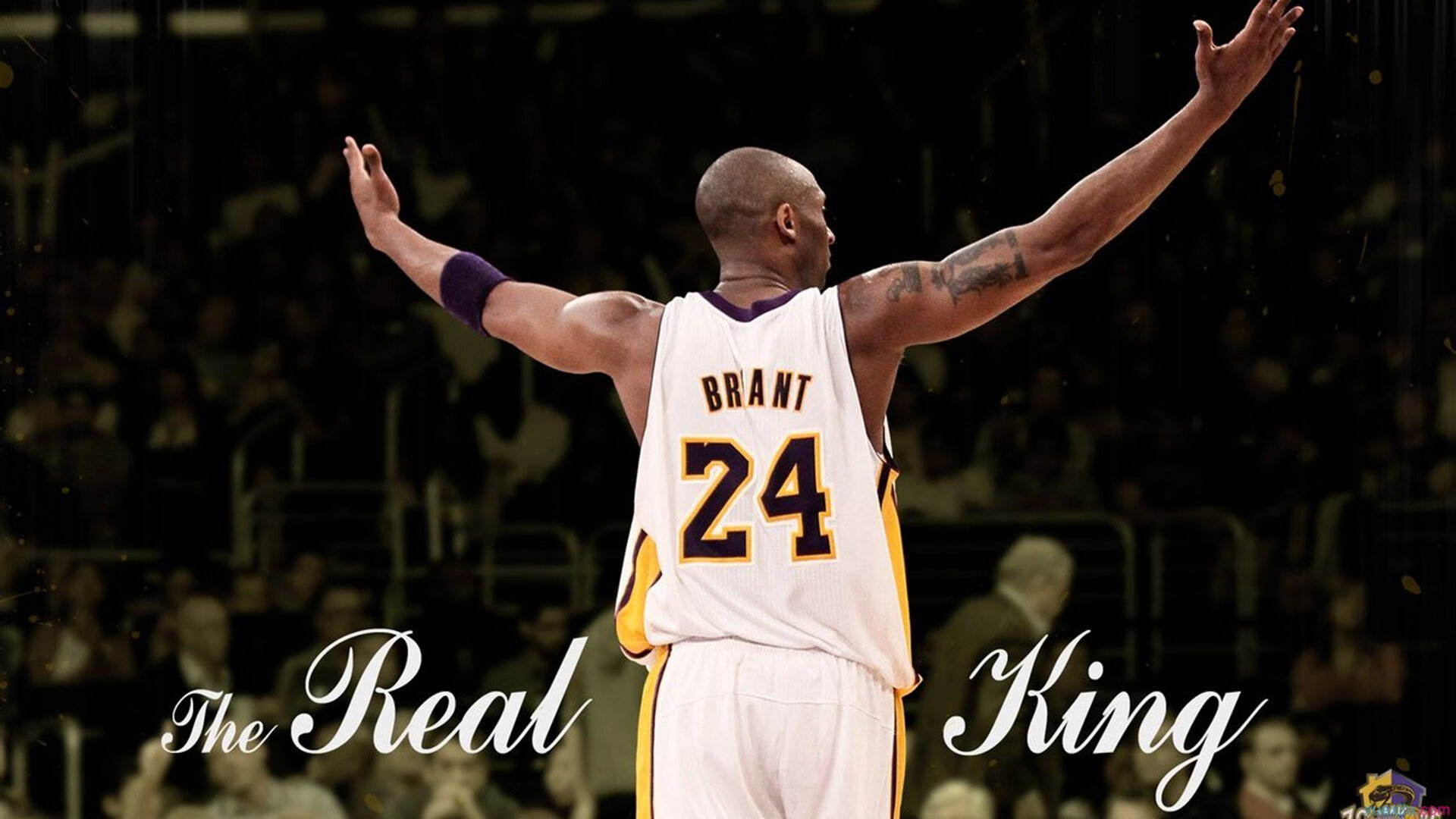 绝境之光，开拓者生死战力克奇才，诠释NBA总决赛的永恒魅力